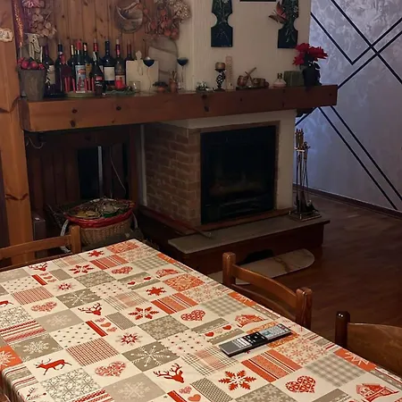 Tulipano *