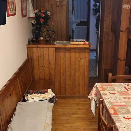 Tulipano Nevegal